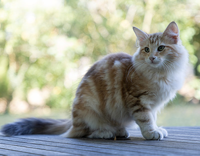 Odyssée - 4 months old