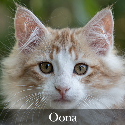 Oona