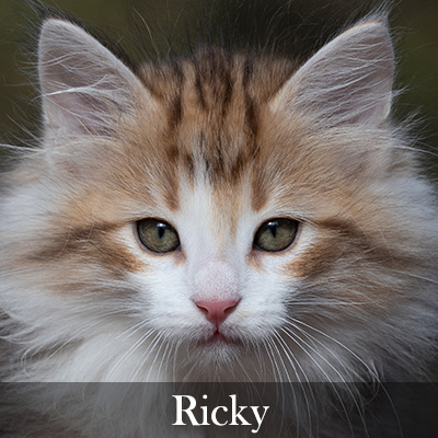 Ricky