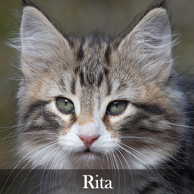 Rita