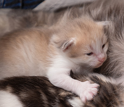 At birth