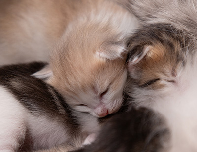 At birth