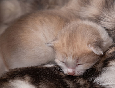 At birth