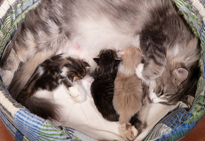 At birth