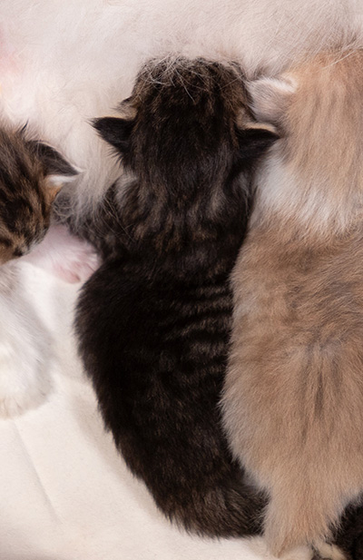 At birth