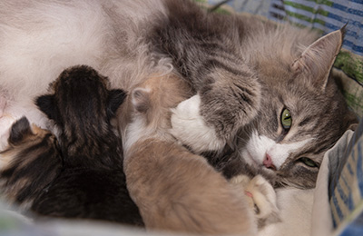 At birth