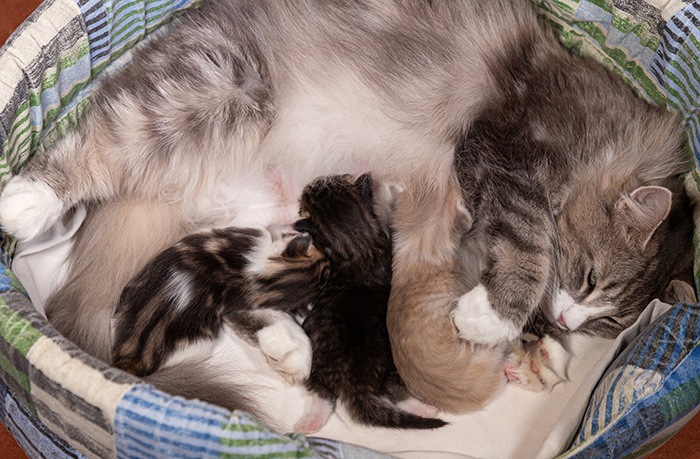 At birth