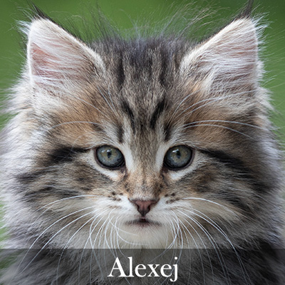 Alexej