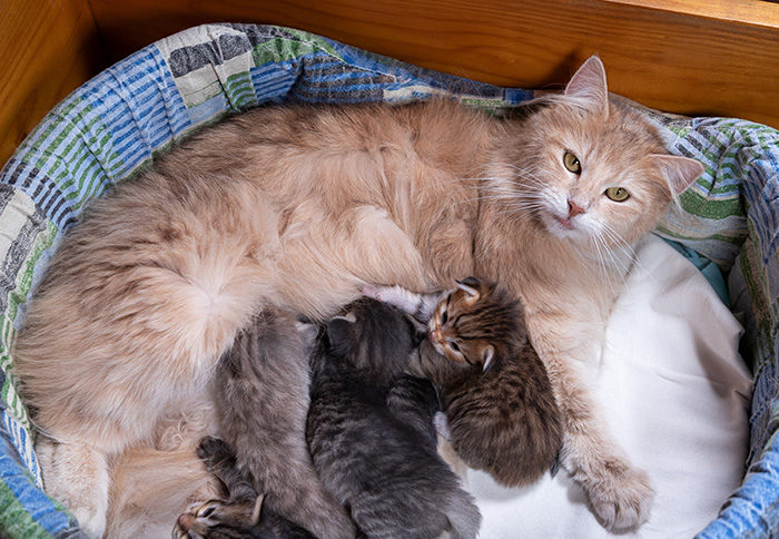 At birth