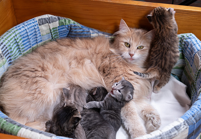At birth