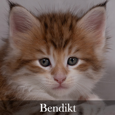 Bendikt