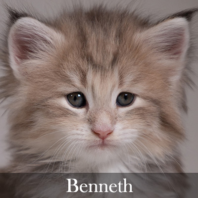 Benneth