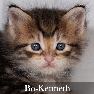 Bo-Kenneth