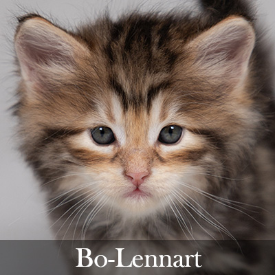 Bo-Lennart